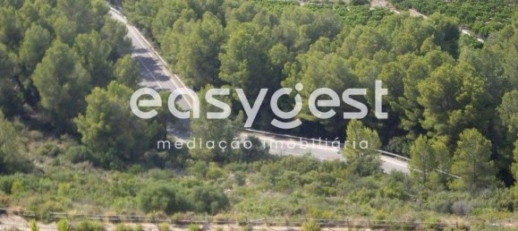 10750m² Land in Abrantes, Portugal No. 64836 3