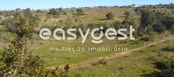 10750m² Land in Abrantes, Portugal No. 64836 6