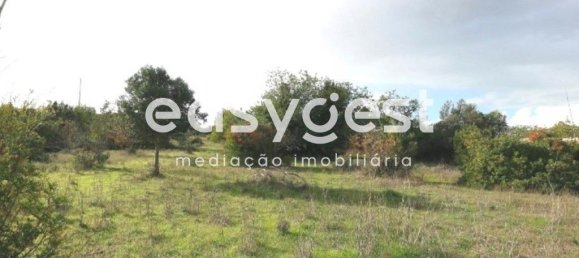 10750m² Land in Abrantes, Portugal No. 64836 4