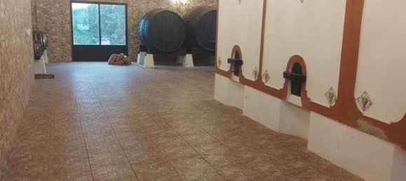 10 غرف نوم منزل في Caldas da Rainha, Portugal رقم 138018 15