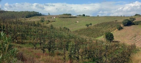 10 غرف نوم منزل في Caldas da Rainha, Portugal رقم 138018 18