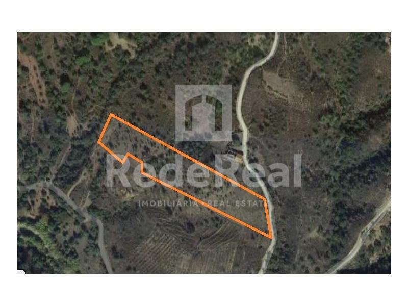 14824m² Land in Loule, Portugal No. 302450