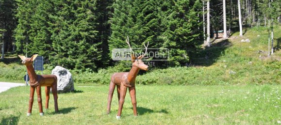 4 bedrooms Apartment in Danta di Cadore, Italy No. 357190 24