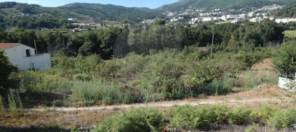 3 Schlafzimmer Haus in Tarouca, Portugal, Nr. 157268 4