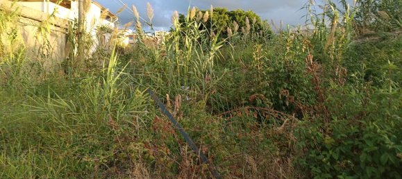 800m² Land in Venetico, Italy No. 106195 4