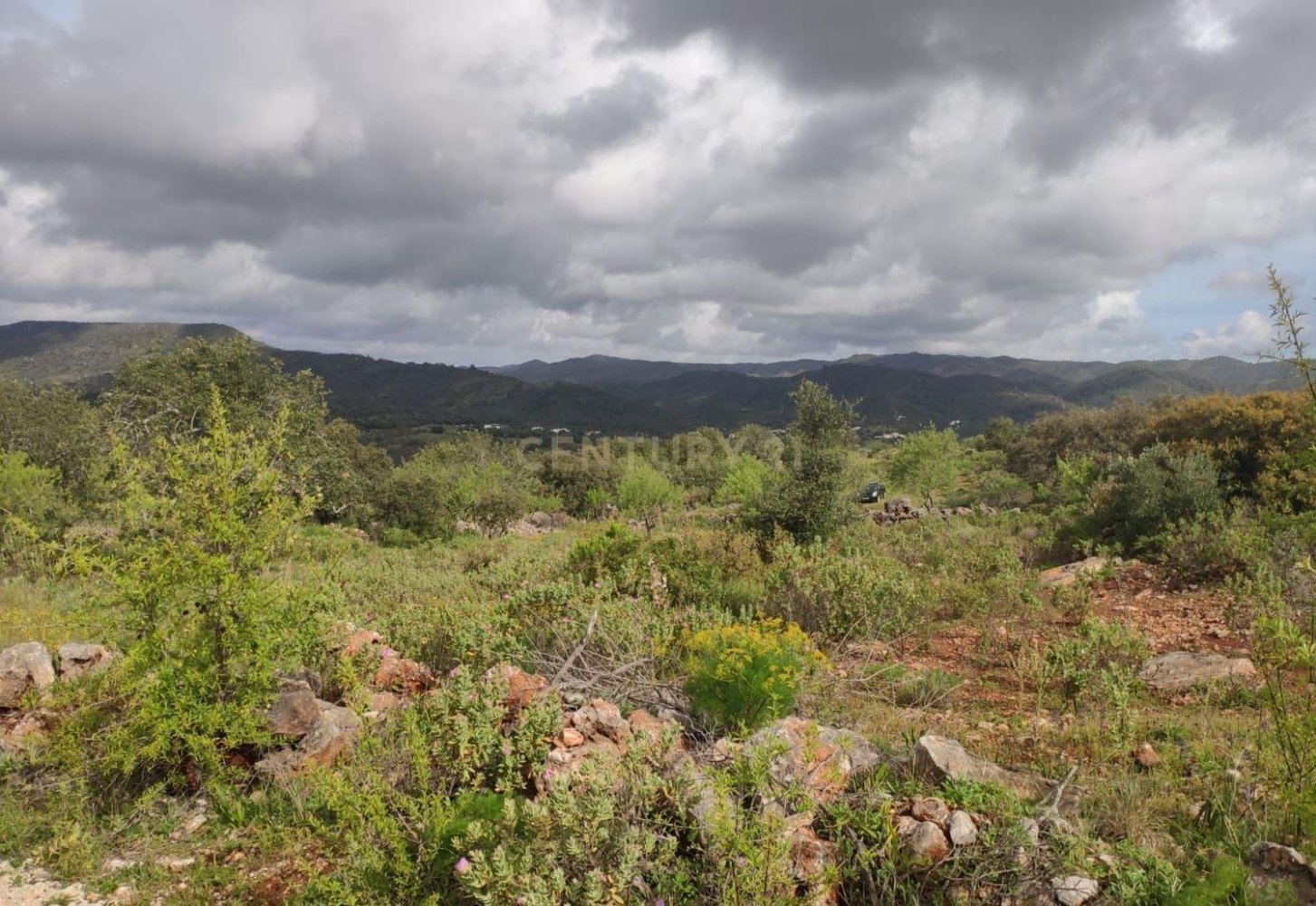  Land in Salir, Portugal No. 200779