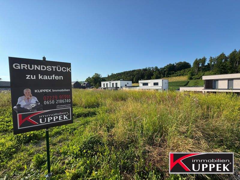  Land in Pennewang, Austria No. 160515