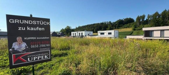  Land in Pennewang, Austria No. 160515 2