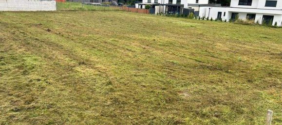  Land in Pennewang, Austria No. 160515 5