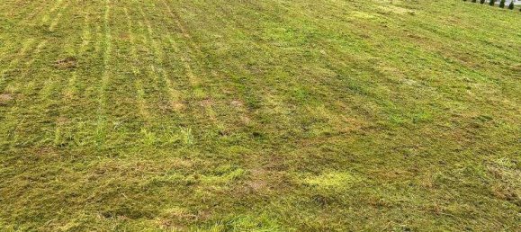  Land in Pennewang, Austria No. 160515 4