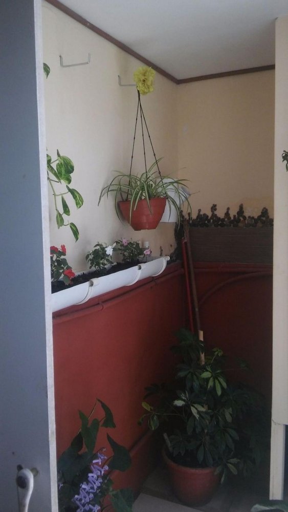 2 chambres Maison à Mar del Plata, Argentina No. 102575