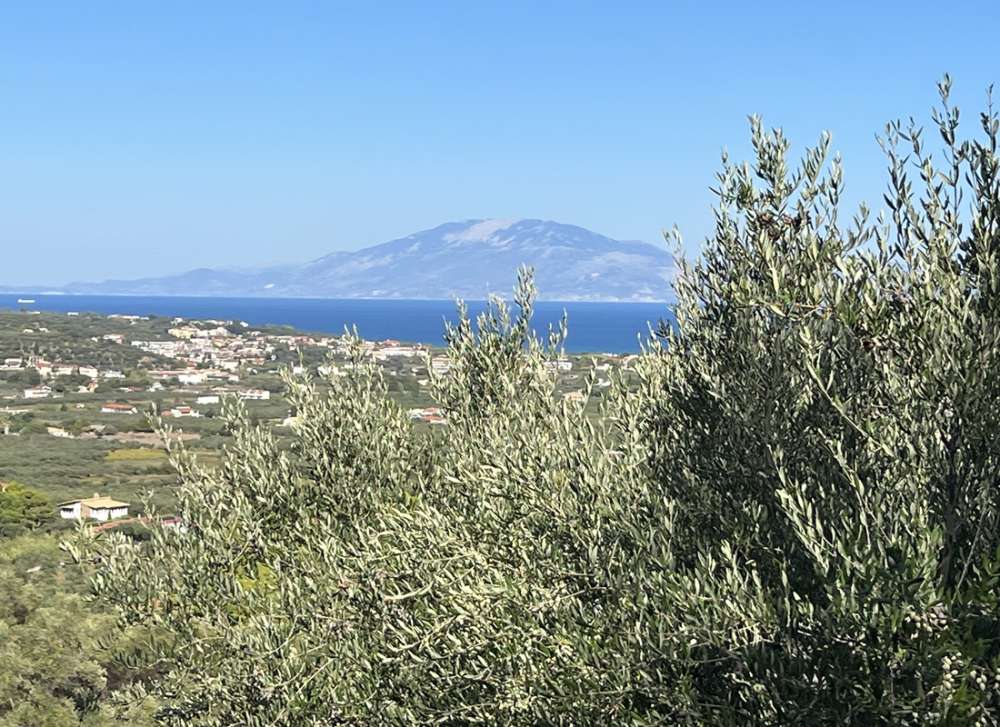  Hotel in Zakynthos, Greece No. 487