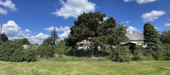 Земельный участок в Лизинг, Австрия № 49810 2