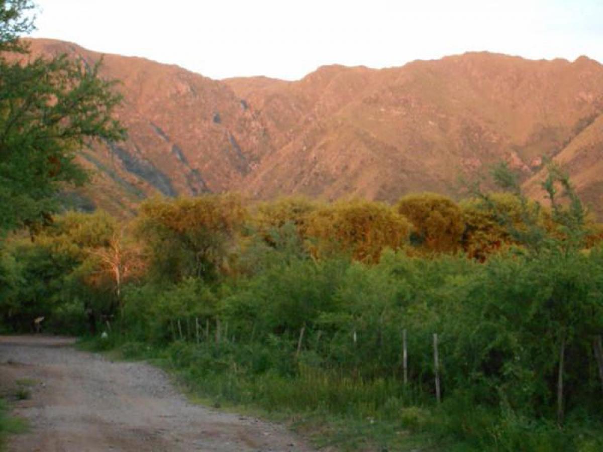  Land in San Luis, Argentina No. 34487