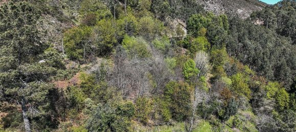 Grundstück in Covide, Portugal 1226m², Nr. 11369 45