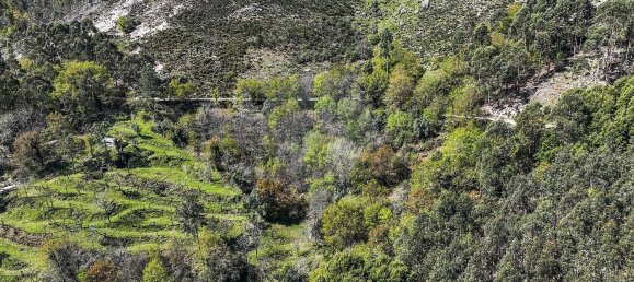 Grundstück in Covide, Portugal 1226m², Nr. 11369 35