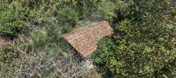 Grundstück in Covide, Portugal 1226m², Nr. 11369 13