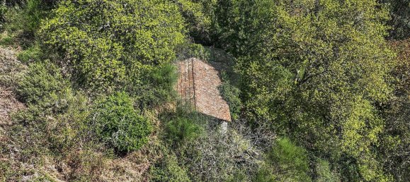 Grundstück in Covide, Portugal 1226m², Nr. 11369 26