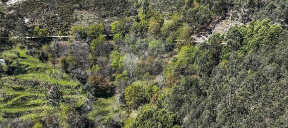 Grundstück in Covide, Portugal 1226m², Nr. 11369 39