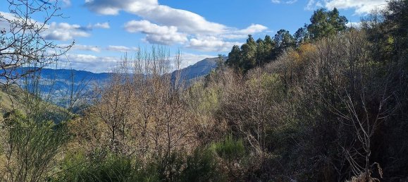 Grundstück in Covide, Portugal 1226m², Nr. 11369 5