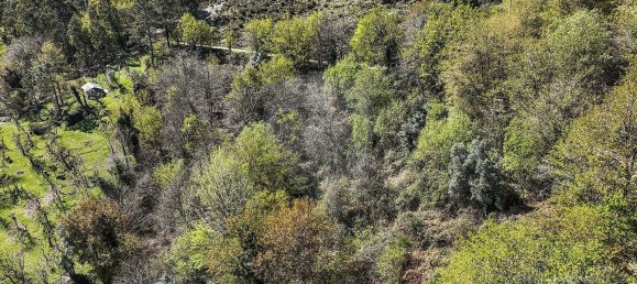 Grundstück in Covide, Portugal 1226m², Nr. 11369 29