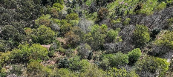 Grundstück in Covide, Portugal 1226m², Nr. 11369 19