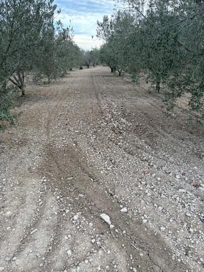 Grundstück in Bullas, Spain 2000m², Nr. 196433