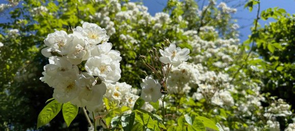 Дом с 5 комнатами в Вайтра, Австрия № 136062 15