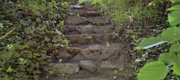 Дом с 5 комнатами в Вайтра, Австрия № 136062 7