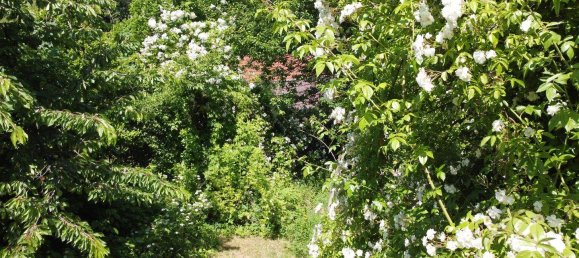 Дом с 5 комнатами в Вайтра, Австрия № 136062 12