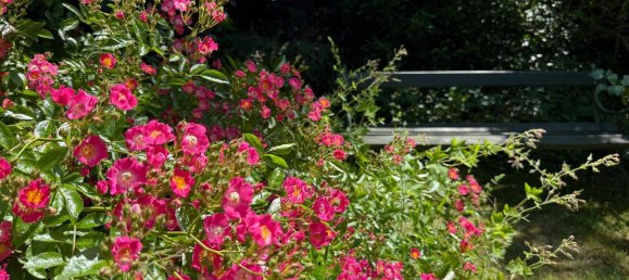 Дом с 5 комнатами в Вайтра, Австрия № 136062 14