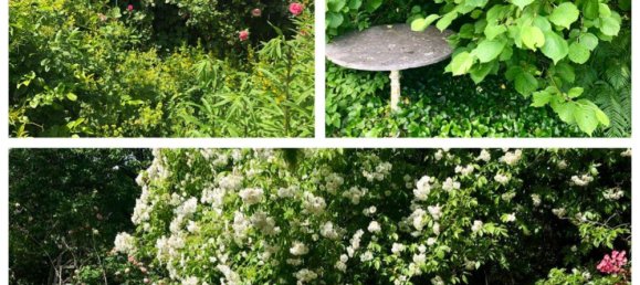 Дом с 5 комнатами в Вайтра, Австрия № 136062 8