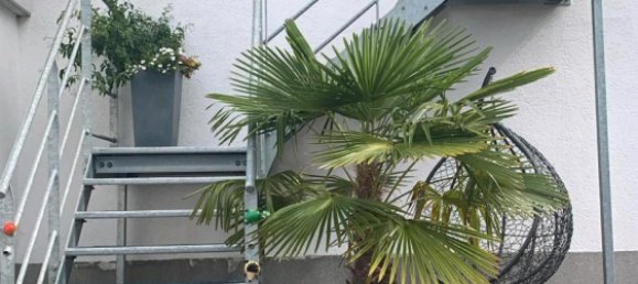 3 bedrooms Townhouse in Recklinghausen, Germany No. 334404 2