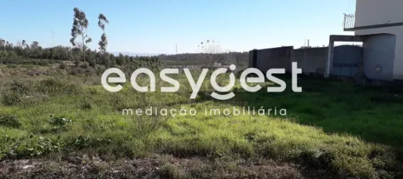  Land in Paiao, Portugal No. 91336 4