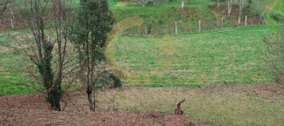 Casa de 3 dormitorios en Arouca, Portugal No. 11115 27