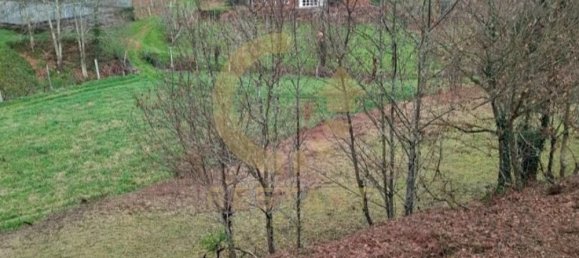 Casa de 3 dormitorios en Arouca, Portugal No. 11115 25