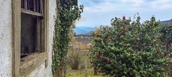 Casa de 3 dormitorios en Arouca, Portugal No. 11115 13