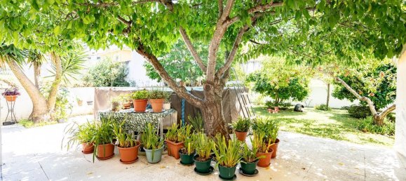 4 غرف نوم منزل في Vila Nova de Poiares, Portugal رقم 180722 15