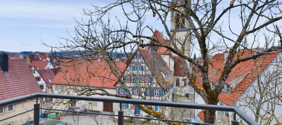 6 غرف نوم بناية في Baden-Wurttemberg, Germany رقم 63607 18