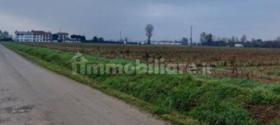 5 rooms House in Pagazzano, Italy No. 316345 9