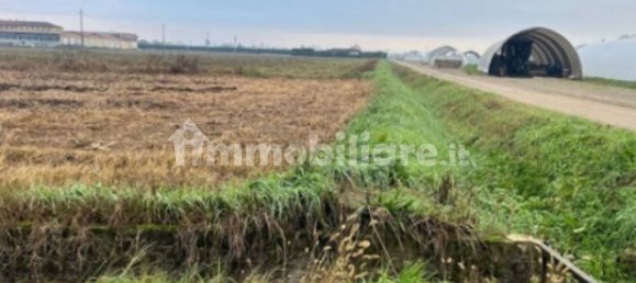 5 rooms House in Pagazzano, Italy No. 316345 11