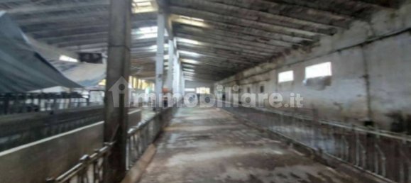 5 rooms House in Pagazzano, Italy No. 316345 5