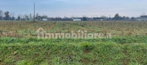 5 rooms House in Pagazzano, Italy No. 316345 12