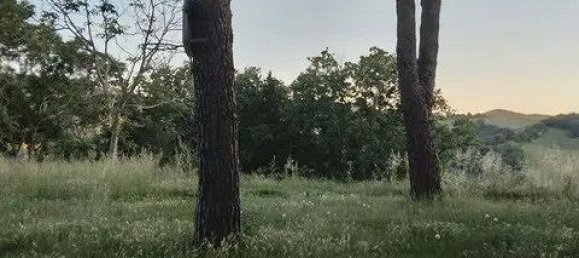 5-salle Villa à Mombaroccio, Italy No. 309785 5