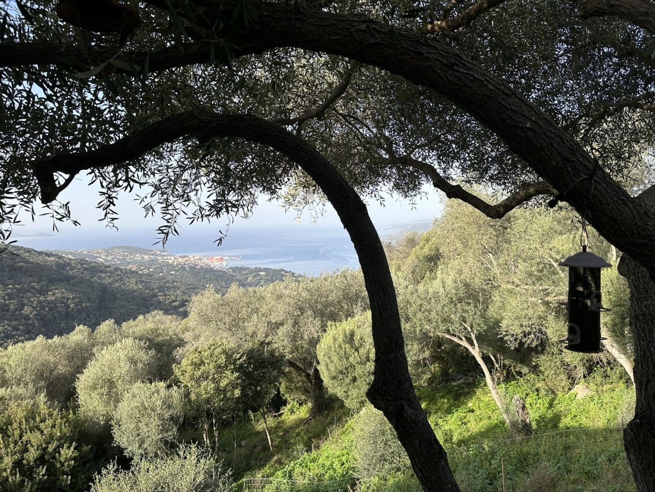 Вилла с 3 спальнями в Виджанелло, Франция № 152988