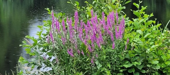 2 غرف نوم تاون هاوس في Markisch-Oderland, Germany رقم 367343 24