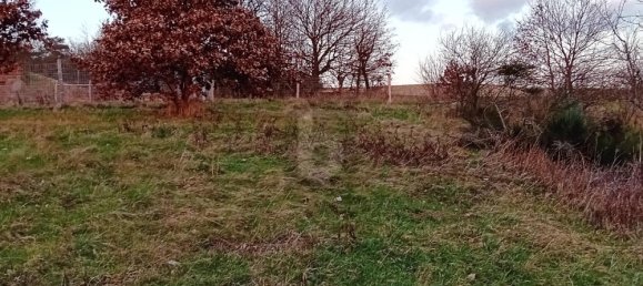  قطعة أرض في Bernkastel-Wittlich, Germany رقم 157776 3