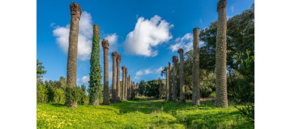 21 Schlafzimmer Haus in Torres Vedras, Portugal, Nr. 111860 37