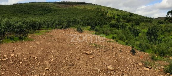  قطعة أرض في Mexilhoeira Grande, Portugal 30000متر مربع رقم 67656 9