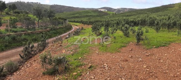  قطعة أرض في Mexilhoeira Grande, Portugal 30000متر مربع رقم 67656 2